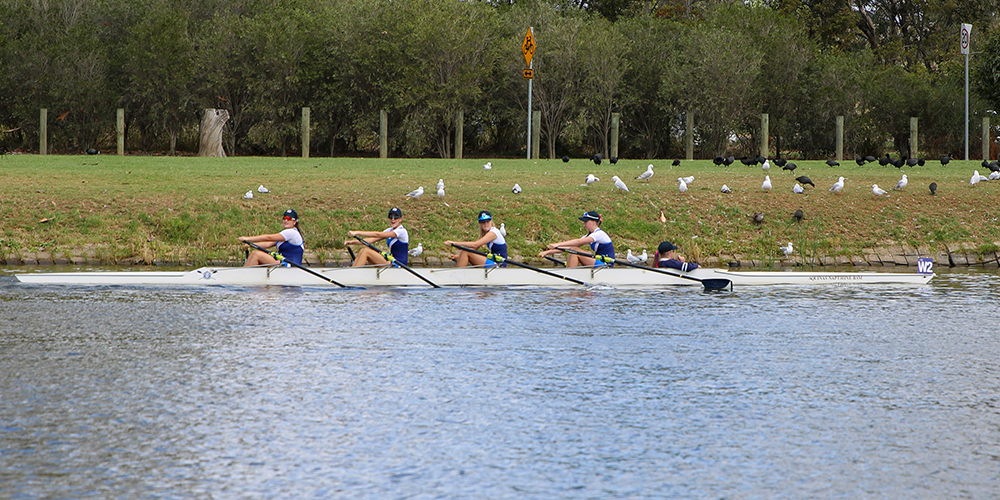 Sacred Heart College Geelong