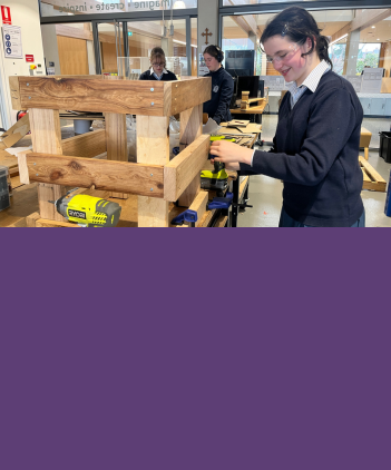 DFL and STEAM - End of Term Wrap Up