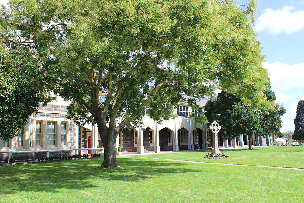 Buildings and Grounds